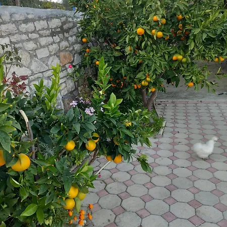 Dean Apartment Berat