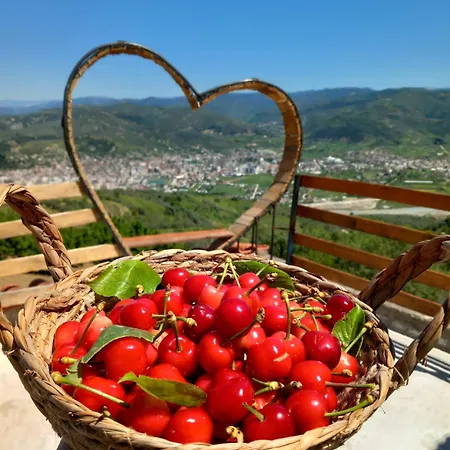 Apartament Dean Berat