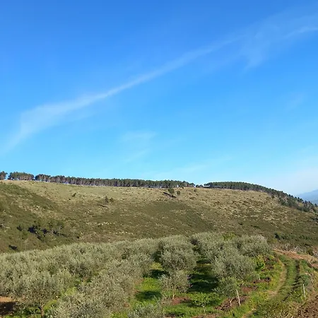 Dean Appartement Berat