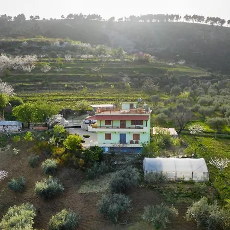 Apartmán Dean Berat