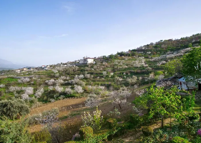 Dean Appartamento Berat