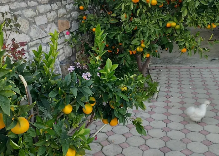 Dean Apartment Berat